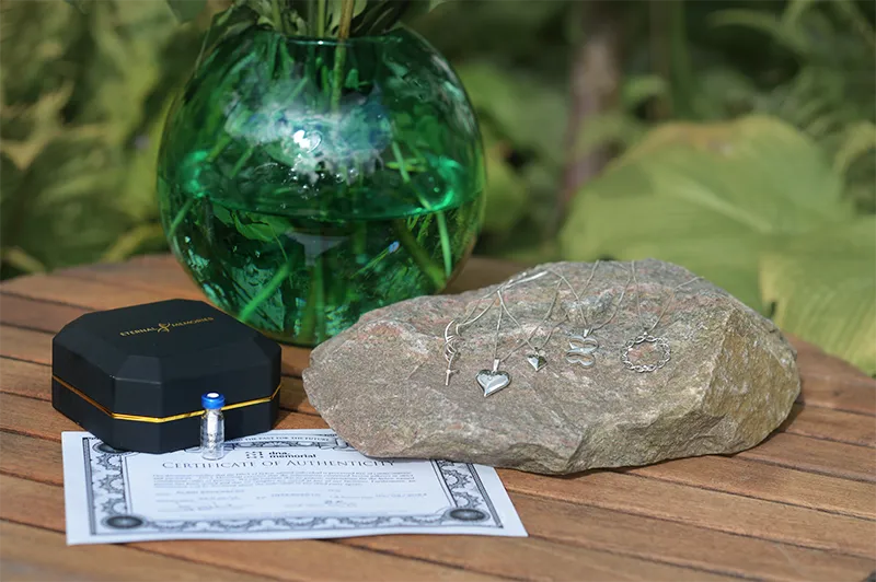 DNA-smycke eller homebanking